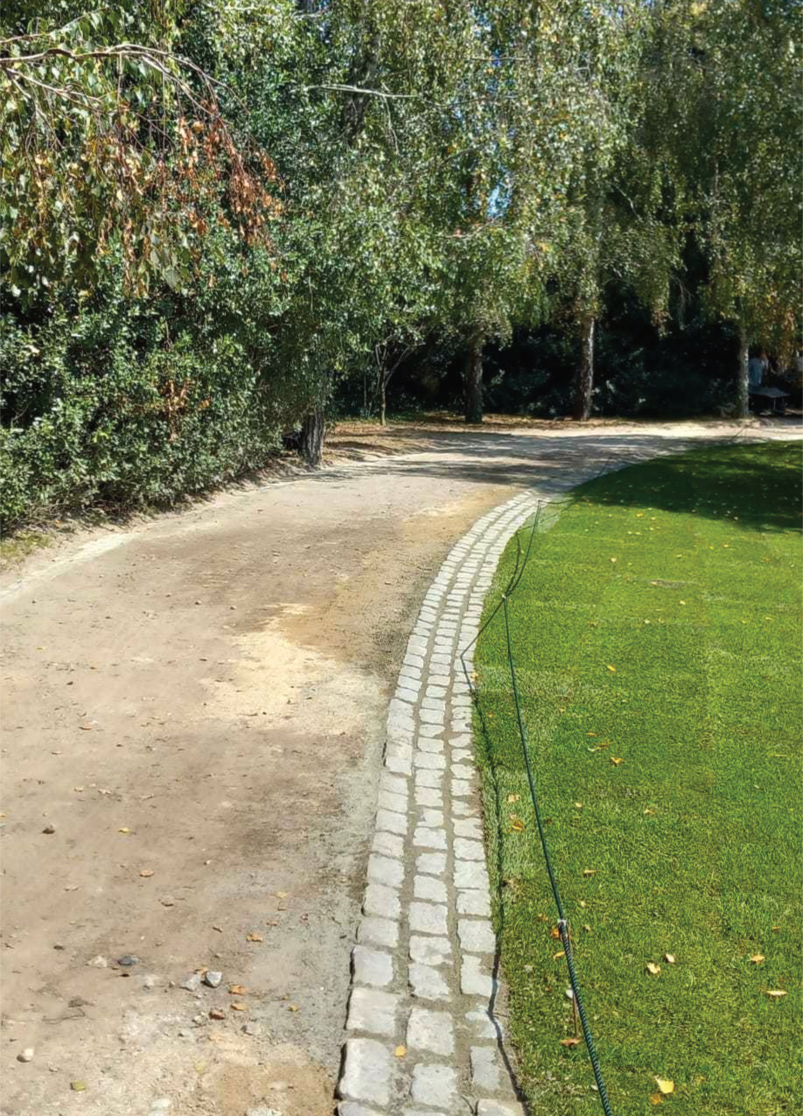 Projeto Serralves